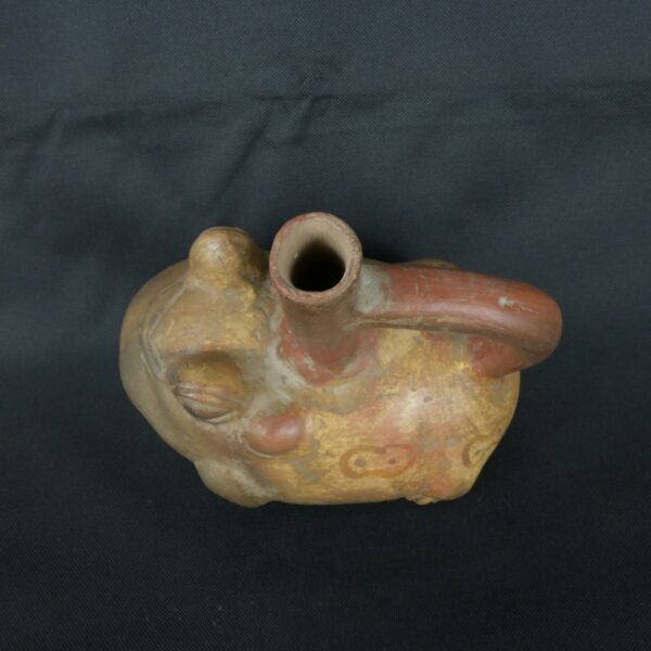Pre Columbian Moche Ceramic Frog Bottle Ancient Andean Artifact Peru - Imagen 7