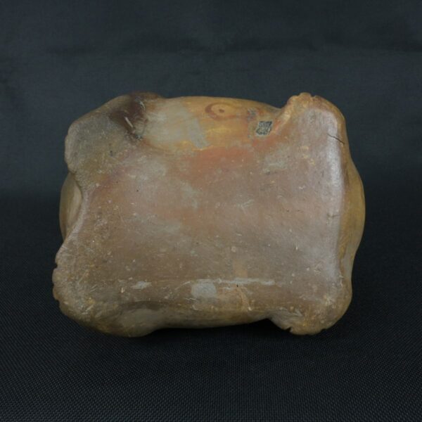 Pre Columbian Moche Ceramic Frog Bottle Ancient Andean Artifact Peru - Imagen 8