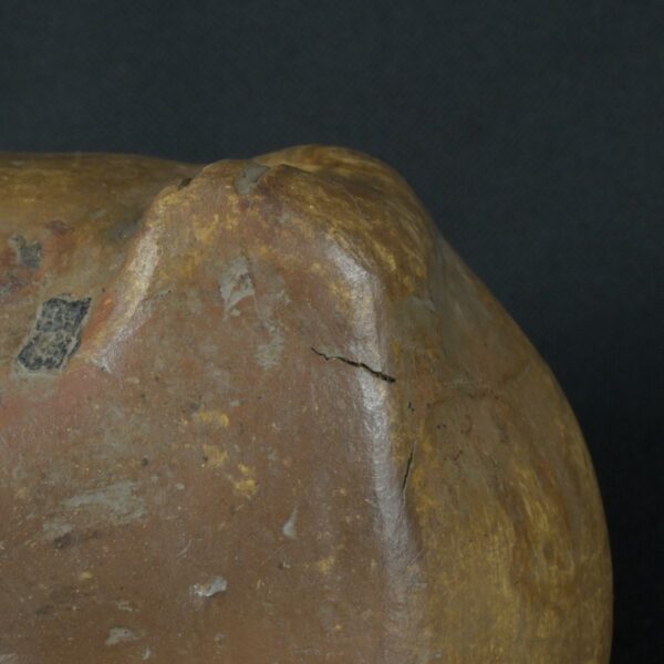 Pre Columbian Moche Ceramic Frog Bottle Ancient Andean Artifact Peru - Imagen 9