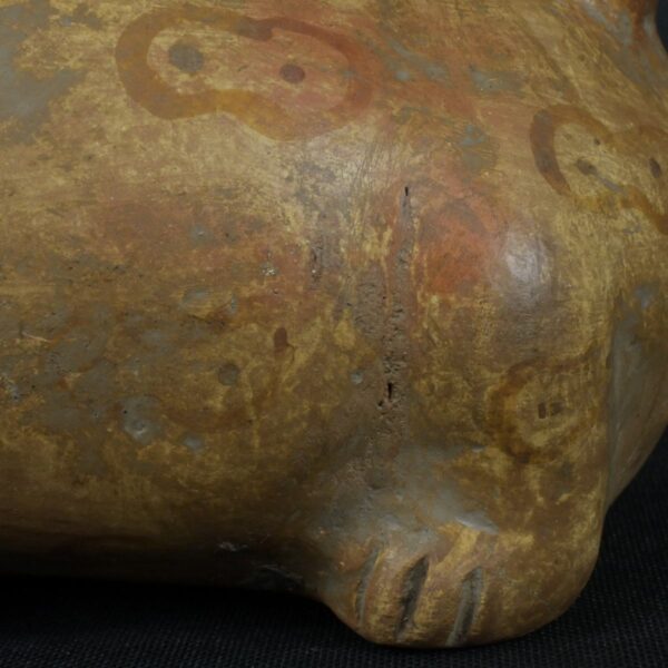 Pre Columbian Moche Ceramic Frog Bottle Ancient Andean Artifact Peru - Imagen 12