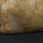 Pre Columbian Moche Ceramic Frog Bottle Ancient Andean Artifact Peru - Imagen 13