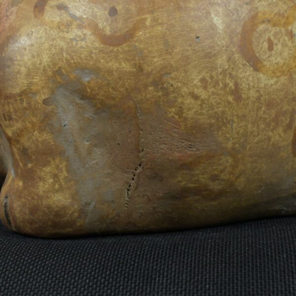 Pre Columbian Moche Ceramic Frog Bottle Ancient Andean Artifact Peru - Imagen 13