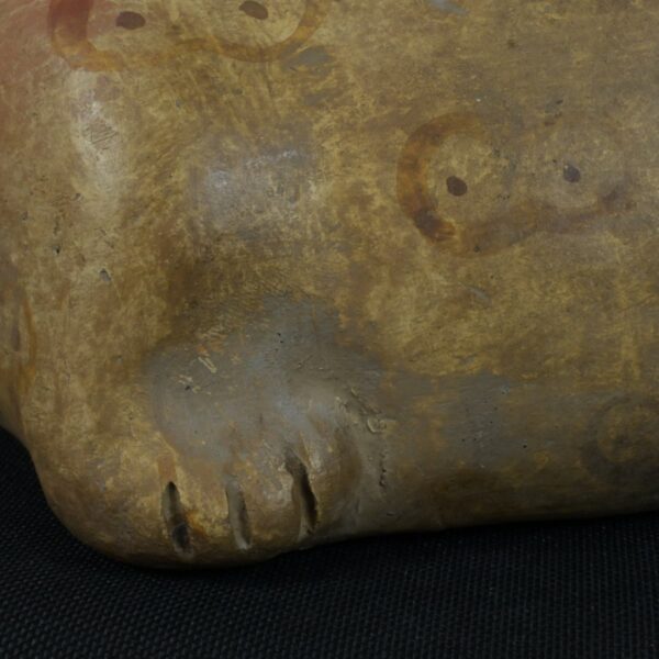 Pre Columbian Moche Ceramic Frog Bottle Ancient Andean Artifact Peru - Imagen 14