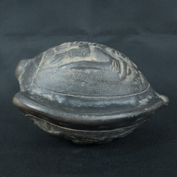 Pre Columbian Moche Ceramic Pututu Ritual Artifact Andean Collectible - Imagen 2