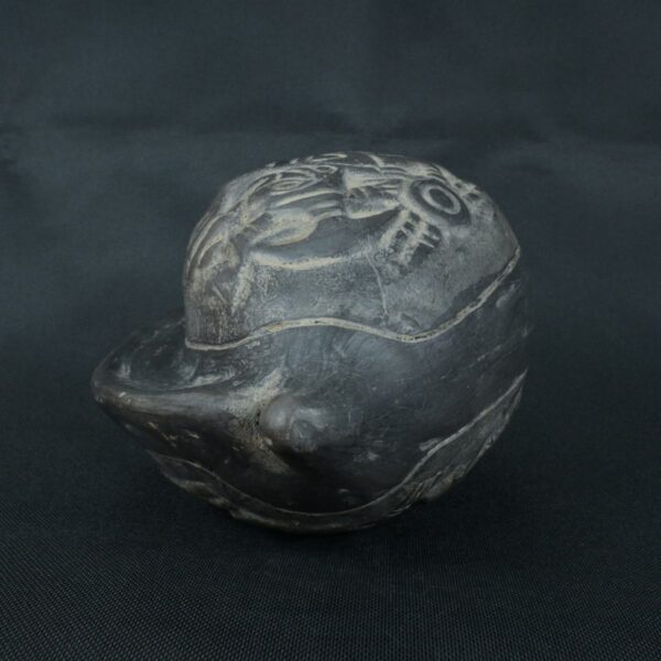 Pre Columbian Moche Ceramic Pututu Ritual Artifact Andean Collectible - Imagen 4