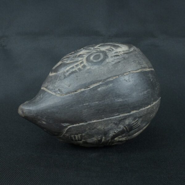 Pre Columbian Moche Ceramic Pututu Ritual Artifact Andean Collectible - Imagen 5