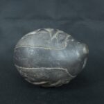 Pre Columbian Moche Ceramic Pututu Ritual Artifact Andean Collectible - Imagen 6