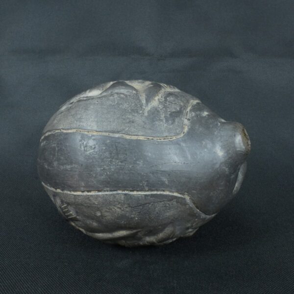 Pre Columbian Moche Ceramic Pututu Ritual Artifact Andean Collectible - Imagen 6