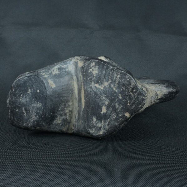 Pre Columbian Moche Ceramic Bottle Ritual Artifact Andean Collector - Imagen 9