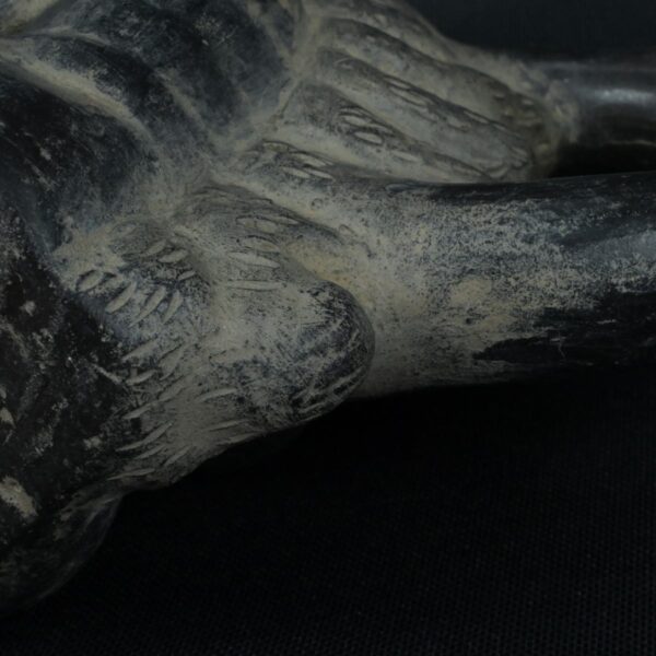 Pre Columbian Moche Ceramic Bottle Ritual Artifact Andean Collector - Imagen 10