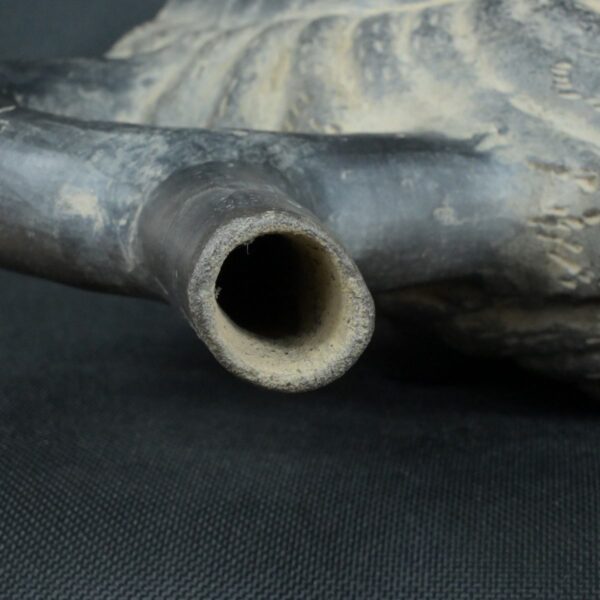 Pre Columbian Moche Ceramic Bottle Ritual Artifact Andean Collector - Imagen 18