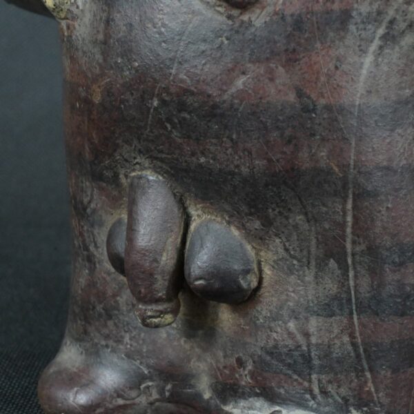 Pre Columbian Vicus Ceramic Double Chamber Whistling Ritual Artifact - Imagen 13