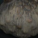 Pre Columbian Chavin Ceramic Bottle Ritual Artifact Andean Collectible - Imagen 12