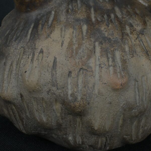 Pre Columbian Chavin Ceramic Bottle Ritual Artifact Andean Collectible - Imagen 12
