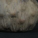 Pre Columbian Chavin Ceramic Bottle Ritual Artifact Andean Collectible - Imagen 13