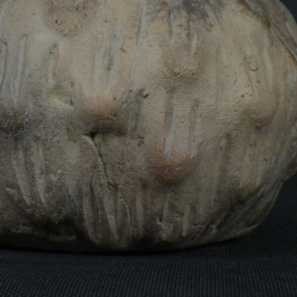 Pre Columbian Chavin Ceramic Bottle Ritual Artifact Andean Collectible - Imagen 13