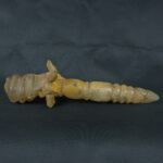 Pre Columbian Inca Quartz Stone Scepter Ceremonial Artifact - Imagen 5
