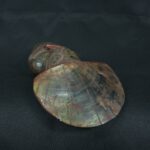 Pre Columbian Moche Turquoise Stone Warrior Ceremonial Artifact Peru - Imagen 9