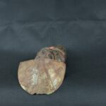 Pre Columbian Moche Turquoise Stone Warrior Ritual Artifact Peru - Imagen 9