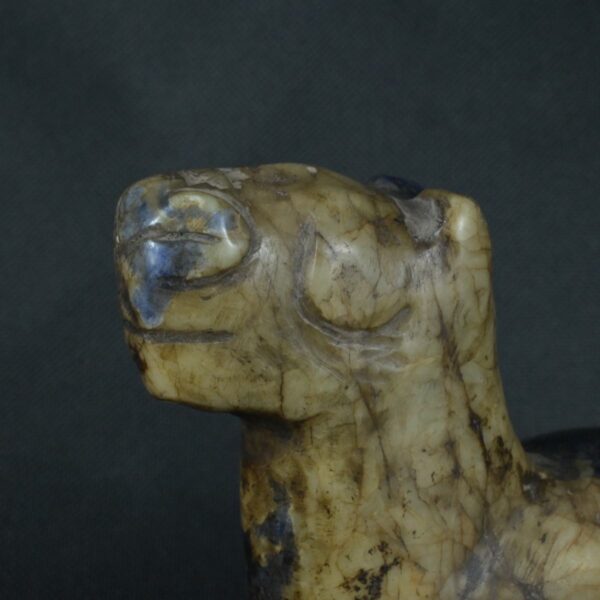 Pre Columbian Inca Sodalite Stone Llama Conopa Ceremonial Artifact - Imagen 13