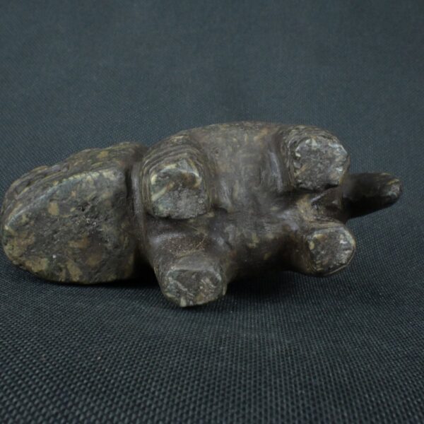 Pre Columbian Moche Granite Stone Feline Ritual Artifact Peru - Imagen 10