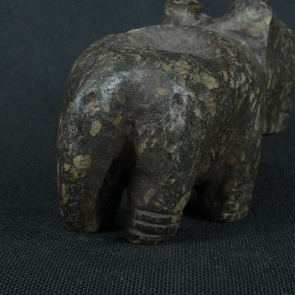 Pre Columbian Moche Granite Stone Feline Ritual Artifact Peru - Imagen 13