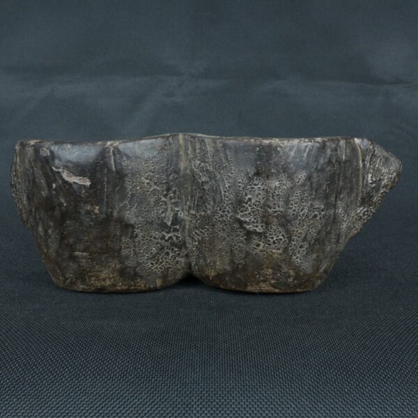 Pre Columbian Tiahuanaco Wooden Qocha Ritual Artifact Andean - Imagen 5