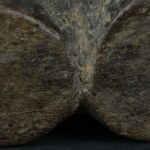 Pre Columbian Tiahuanaco Wooden Qocha Ritual Artifact Andean - Imagen 11