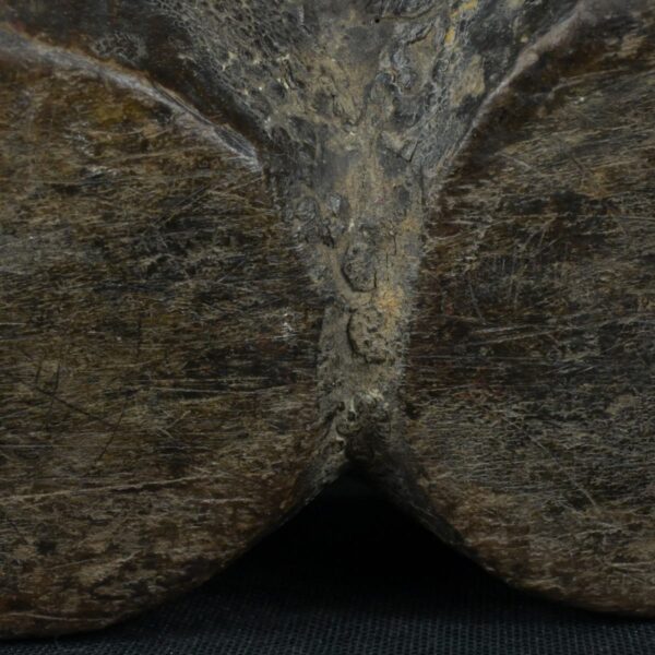 Pre Columbian Tiahuanaco Wooden Qocha Ritual Artifact Andean - Imagen 11