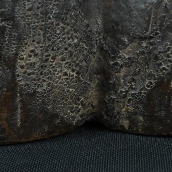 Pre Columbian Tiahuanaco Wooden Qocha Ritual Artifact Andean - Imagen 12