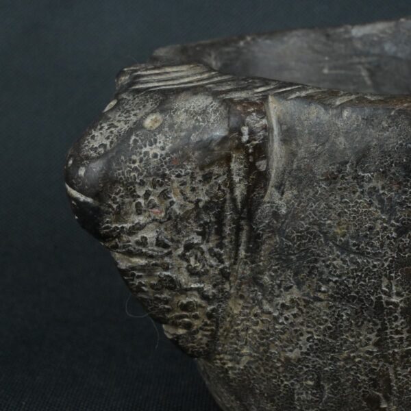 Pre Columbian Tiahuanaco Wooden Qocha Ritual Artifact Andean - Imagen 14