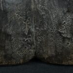 Pre Columbian Tiahuanaco Wooden Qocha Ritual Artifact Andean - Imagen 20