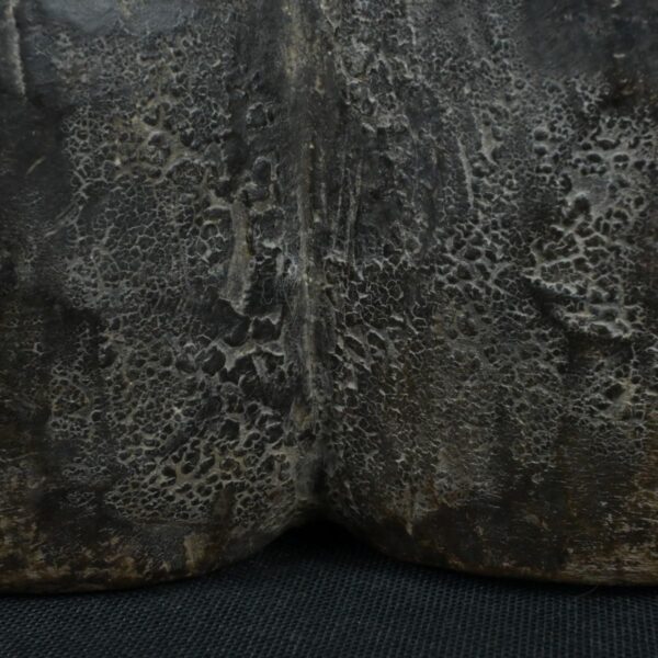 Pre Columbian Tiahuanaco Wooden Qocha Ritual Artifact Andean - Imagen 20