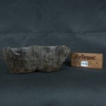 Pre Columbian Tiahuanaco Wooden Qocha Ritual Artifact Andean - Imagen 23