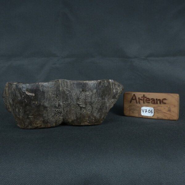 Pre Columbian Tiahuanaco Wooden Qocha Ritual Artifact Andean - Imagen 23