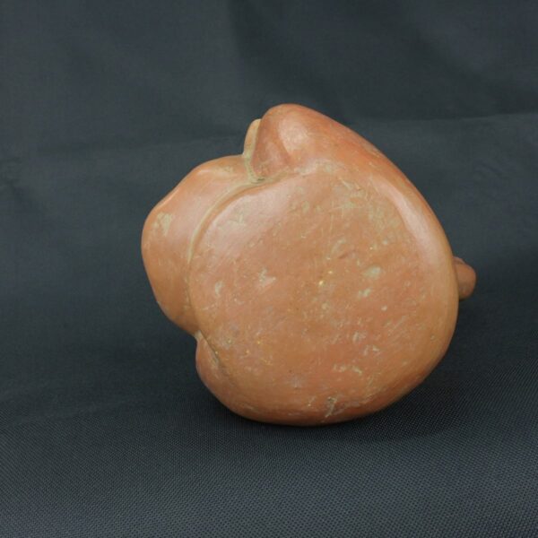 Pre Columbian Moche Ceramic Face Bottle Ceremonial Artifact Peru - Imagen 10