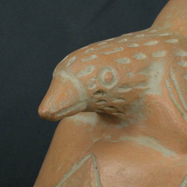 Pre Columbian Moche Ceramic Bottle Ritual Artifact with Bird Design - Imagen 12