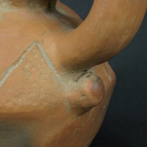 Pre Columbian Moche Ceramic Bottle Ritual Artifact with Bird Design - Imagen 14