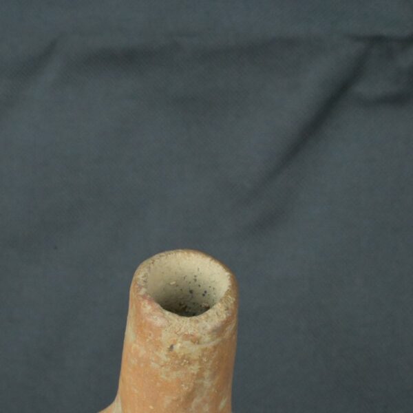 Pre Columbian Moche Ceramic Bottle Ritual Artifact with Bird Design - Imagen 15