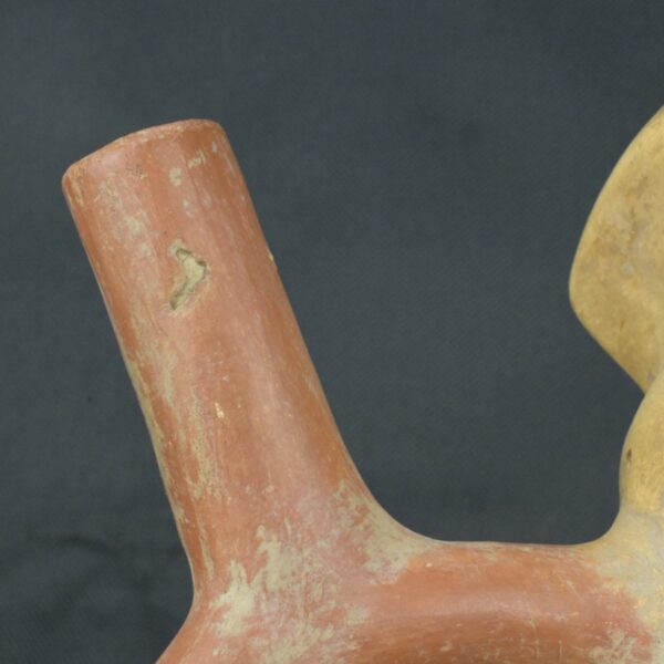 Pre Columbian Moche Ceramic Bottle Sacrificial Ritual Artifact Peru - Imagen 15