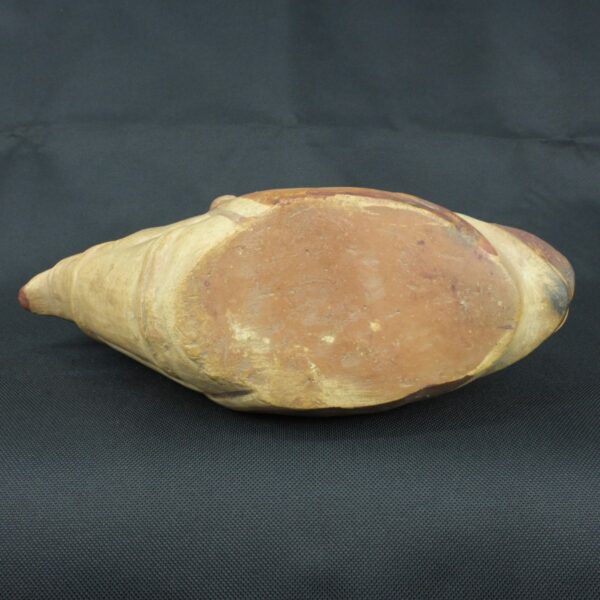 Pre Columbian Moche Ceramic Fish Vessel Ritual Artifact Peru - Imagen 10