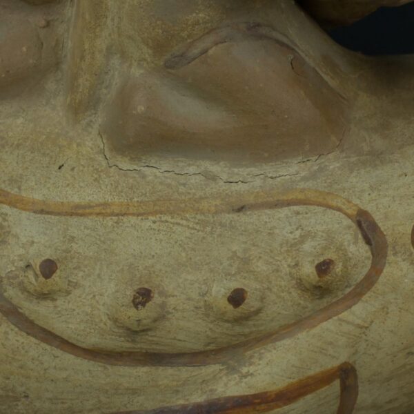 Pre Columbian Moche Ceramic Fish Vessel Ritual Artifact Peru - Imagen 16