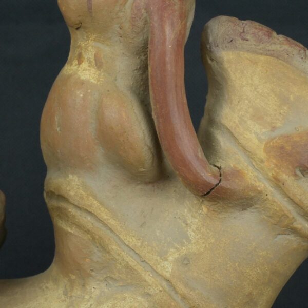 Pre Columbian Moche Ceramic Fish Vessel Ritual Artifact Peru - Imagen 17